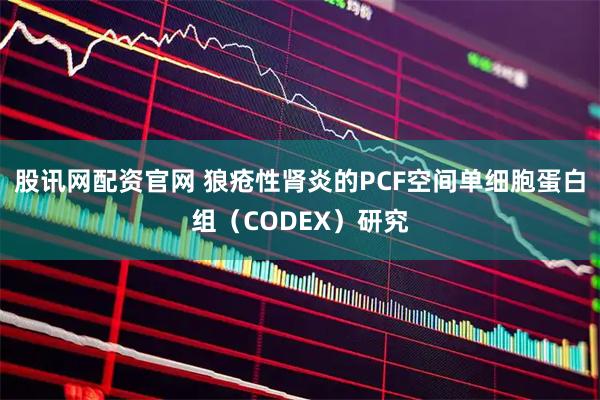 股讯网配资官网 狼疮性肾炎的PCF空间单细胞蛋白组（CODEX）研究