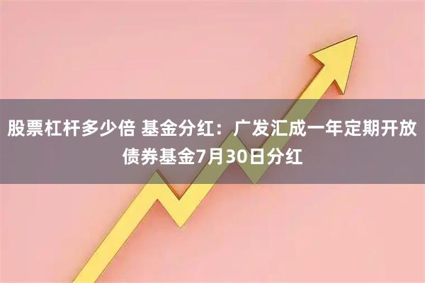 股票杠杆多少倍 基金分红：广发汇成一年定期开放债券基金7月30日分红